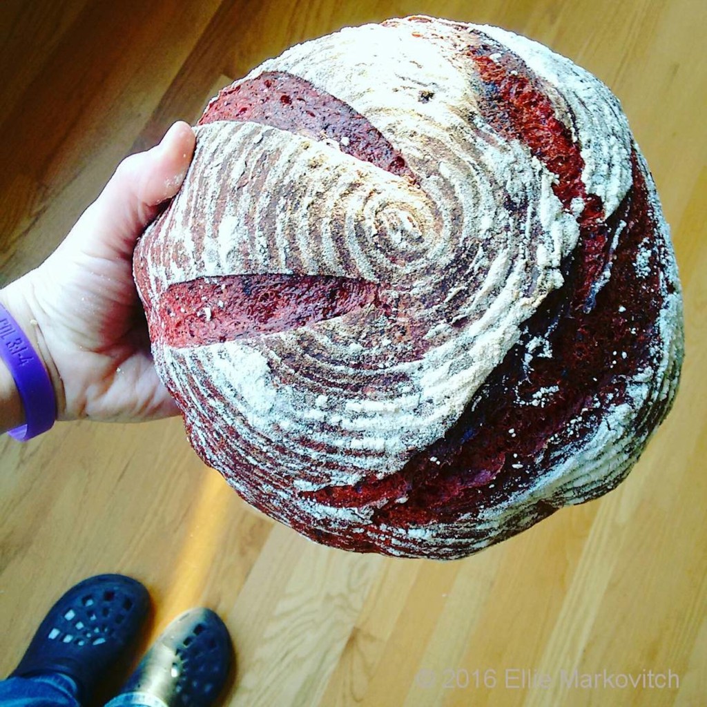 Ellie Markovitch makes me want to eat vegetables, like this beet and rye bread. 
